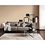 SCHÖNER WOHNEN-Farbe Wandfarbe Trendfarbe (Sand, Matt, 5 l) | BAUHAUS