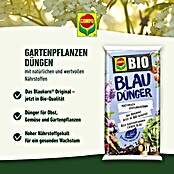 Compo Bio Blaukorn (4 kg) | BAUHAUS