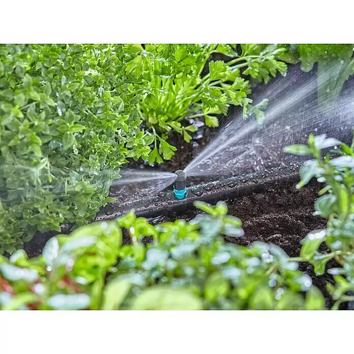 Gardena Micro-Drip Bewässerungs-Set Gemüse-/Blumenbeet Start-Set - Passend für: Gemüse- & Blumenbeete bis 40 m² - Nahaufnahme eines schwarzen Gartenbewässerungsschlauchs mit blau-grauer Sprühdüse, der grüne Pflanzen bewässert.