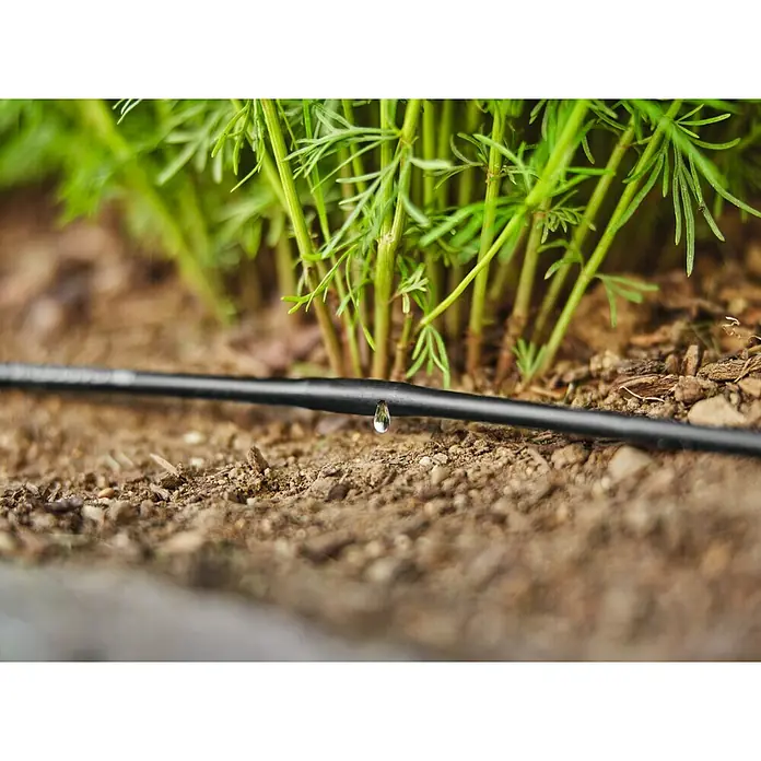 Gardena Micro-Drip Tropfrohr - Schlauchlänge: 25 m, 1,6 l/h - Nahaufnahme einer Bewässerungsleitung mit Wassertropfen in einem Garten, die Pflanzen bewässert.