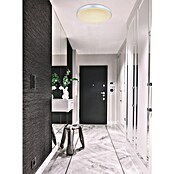 Globo Okrugla stropna LED svjetiljka Sonny  (Ø x V: 41 x 6 cm, 18 W, Bijela, Srebrna) | BAUHAUS