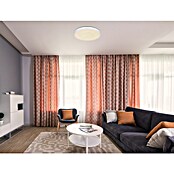 Globo LED-Deckenleuchte rund Sonny (Ø x H: 50,5 x 8 cm, 24 W, Weiß/Silber) | BAUHAUS