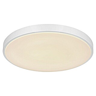 Globo LED-Deckenleuchte rund Sonny (Ø x H: 50,5 x 8 cm, 24 W, Weiß/Silber)
