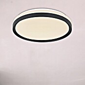 Globo LED okrogla stropna svetilka SONNY  (18 W, Ø x V: 39 x 8 cm, Bele barve, Drugo) | 3016 - Deckenleuchte | CACB - Deckenleuchten | CAC - Indoorleuchten | CA - Beleuchtung | C - Elektro | BAUHAUS