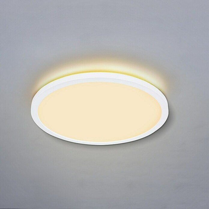 Globo LED-Deckenleuchte rund Sapana (24 W, Ø x H: 42 x 2,5 cm, Weiß, Weiß, Warmweiß) | BAUHAUS