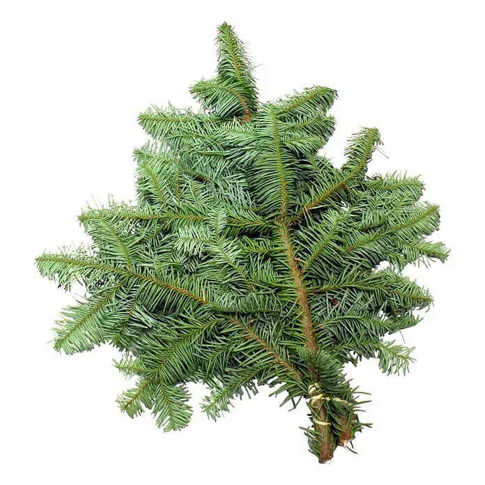 Piardino Nobilis Tannenreisig - Handbund, 500 g - Nahaufnahme eines Bündels grüner Tannenzweige mit feinen Nadeln, gebunden zu einem üppigen Weihnachtsschmuck.