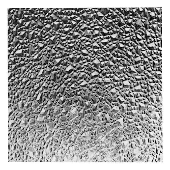 Dekorativna ploča od polikarbonata (200 cm x 100 cm x 2,5 mm, Kristal leda, Prozirno, Polistirol)