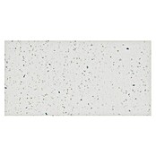 Quarzsteinfliese Komposit (30 x 60 cm, Weiß, Glänzend) | BAUHAUS