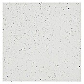 Quarzsteinfliese Komposit (60 x 60 cm, Weiß, Glänzend) | BAUHAUS