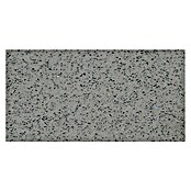 Quarzsteinfliese Komposit (30 x 60 cm, Grau, Glänzend) | BAUHAUS