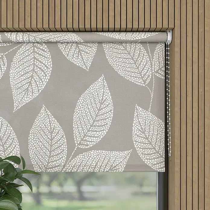 Rollo Blatt - B x H: 120 x 190 cm, Beige, Blumen & Pflanzen - Eine stilvolle Rollgardine mit einem Blattmuster in Grau und Weiß, die eine moderne Note in jeden Raum bringt.