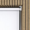 Rollo Mini Basic (B x H: 60 x 150 cm, Weiß, Tageslichtdurchlässig)