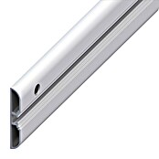 Kantoflex Coaxis Profil (1.000 x 10 x 60 mm, Aluminium, Eloxiert)