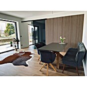 FibroTech Akustični panel Premium  (Svetli hrast, 2.440 x 605 x 22 mm) | Akustične plošče | Zvočna izolacija | Izolacija | Gradbeni material | Izdelki | BAUHAUS