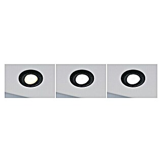 Paulmann LED-Einbauleuchten-Set rund Calla (5,5 W, Schwarz, 3 Stk., Farbtemperatur einstellbar: Stufen)