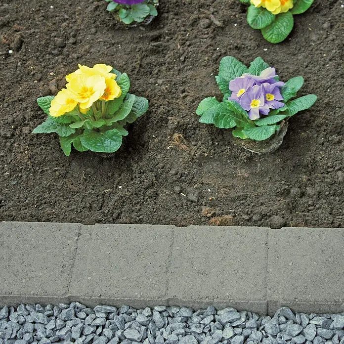 Christoph Randstein Multi- Bord - 50 x 11,5 x 8 cm, Grau, Beton, Gerade - Nahaufnahme von Primelblumen in einem Gartenbeet, eingefasst mit grauen Pflastersteinen und Kies.
