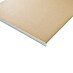 Rigips Verbundplatte EPS 