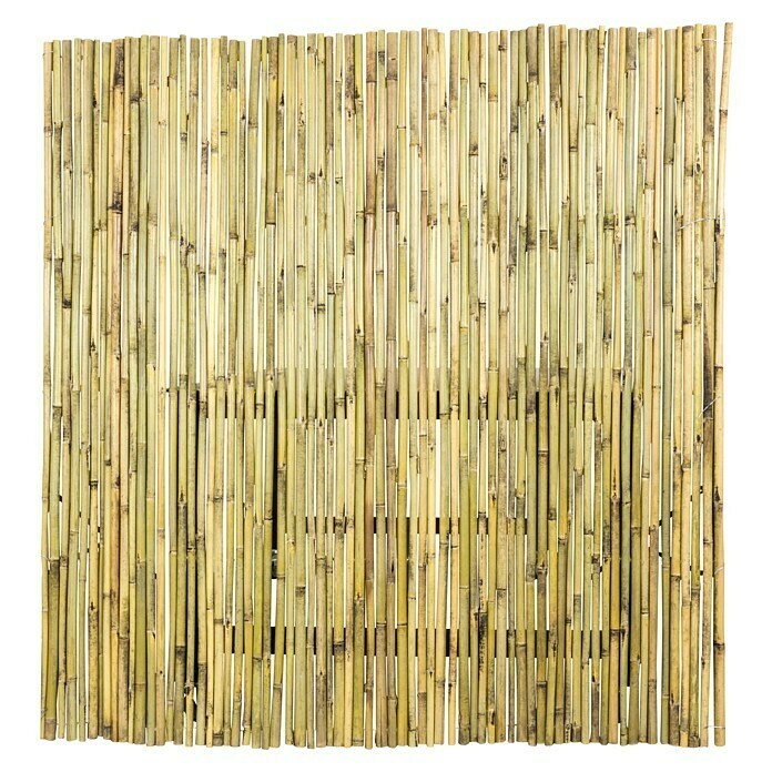 Bamboemat (180 x 180 x 2,4 cm, Lichtbruin) | BAUHAUS