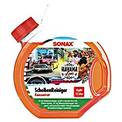 Sonax Scheibenreiniger (3 l) | BAUHAUS