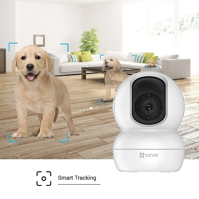 EZVIZ Cámara de vigilancia TY2 con cobertura visual de 360° - Blanco, Ángulo de detección: 360 °, Alcance de detección: 10 m - Una cámara de seguridad EZVIZ blanca con seguimiento inteligente, monitoreando perros en la habitación para mayor seguridad en el hogar.