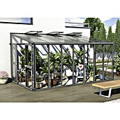 Vitavia Gewächshaus (2,66 x 4,6 x 2,39 m, Farbe: Anthrazit, Einscheibensicherheitsglas (ESG))