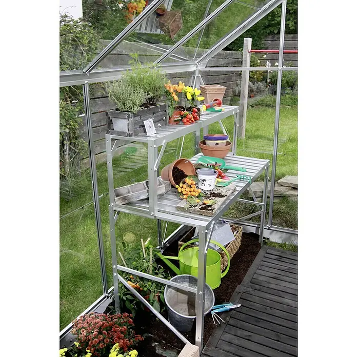 Vitavia Gewächshaus Zeus 11900 Plus - Außenmaß inkl. Dachüberstand (B x T): 256 x 465 cm, 16 mm, Aluminium - Ein detailreiches Bild eines Gewächshauses mit einem dreistufigen, silberfarbenen Regal, das verschiedene Pflanzen und Gartengeräte beherbergt.