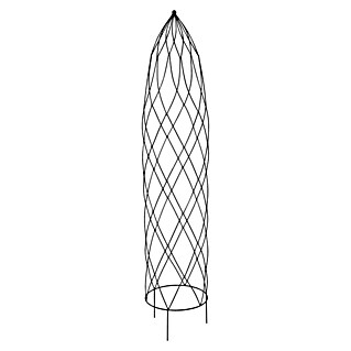 Rankhilfe Obelisk Pia (Ø x H: 35 x 170 cm, Stahl, Schwarz-Metallic)