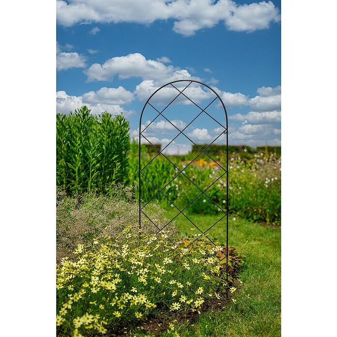 Rankgitter Annika (L x H: 55 x 150 cm, Stahl, Schwarz-Metallic) | BAUHAUS