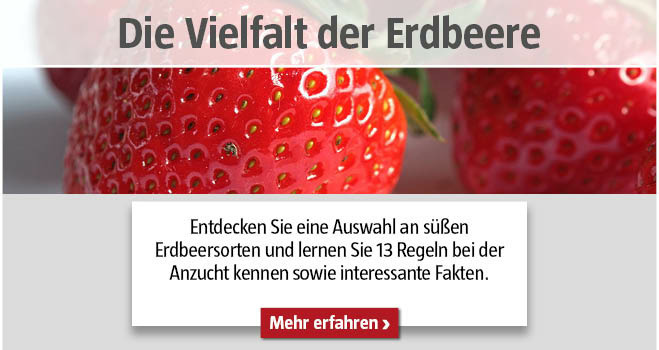 Erdbeerorten