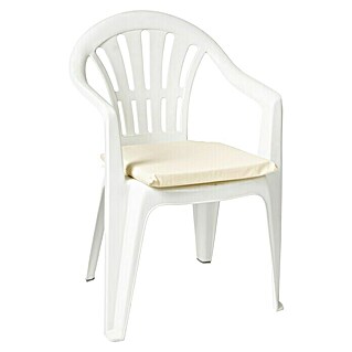 Cojín para asiento (Beige, L x An x Al: 40 x 40 x 3,5 cm, 70% algodón 30% poliéster)