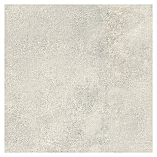 Queens Terrassenfliese (59,3 x 59,3 x 2 cm, Weiß, Matt)