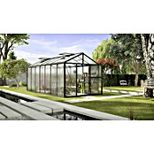 Vitavia Gewächshaus (5,38 x 2,56 x 2,5 m, Farbe: Schwarz, Polycarbonat, 16 mm)
