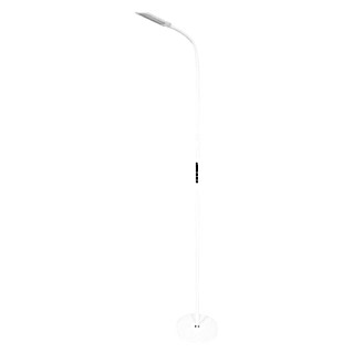 LED stajaća svjetiljka Remo (9 W, Visina: 180 cm, Boja svjetla: Topla bijela, Bijela)