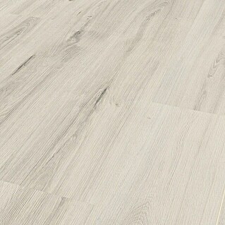 LOGOCLIC Edition Laminat Family Solario (1.285 x 192 x 7 mm, Landhausdiele, Solario)