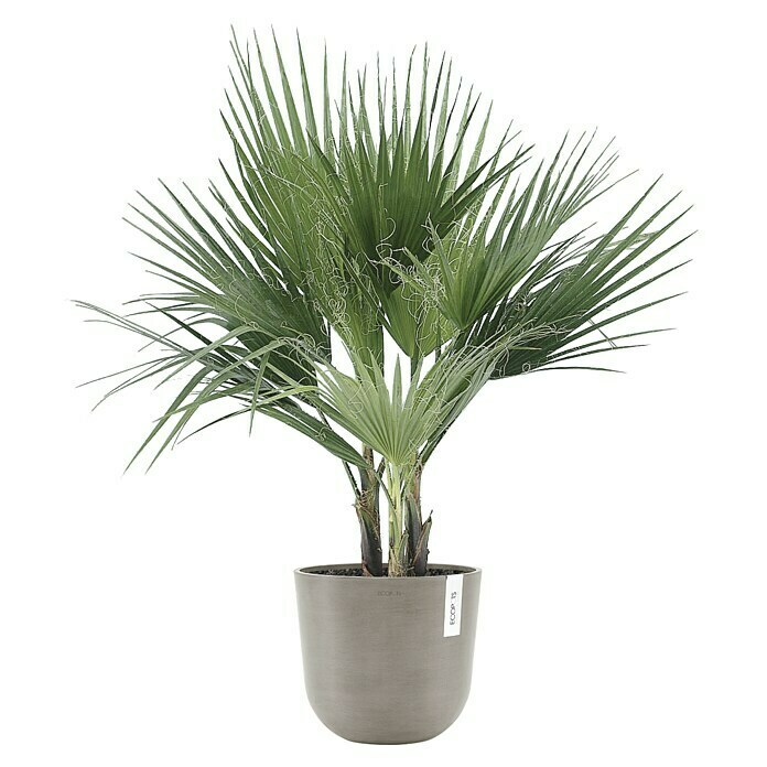 Ecopots Oslo Pflanztopf (Außenmaß (Ø x H): 25 x 21,8 cm, Kunststoff, Braungrau) | BAUHAUS
