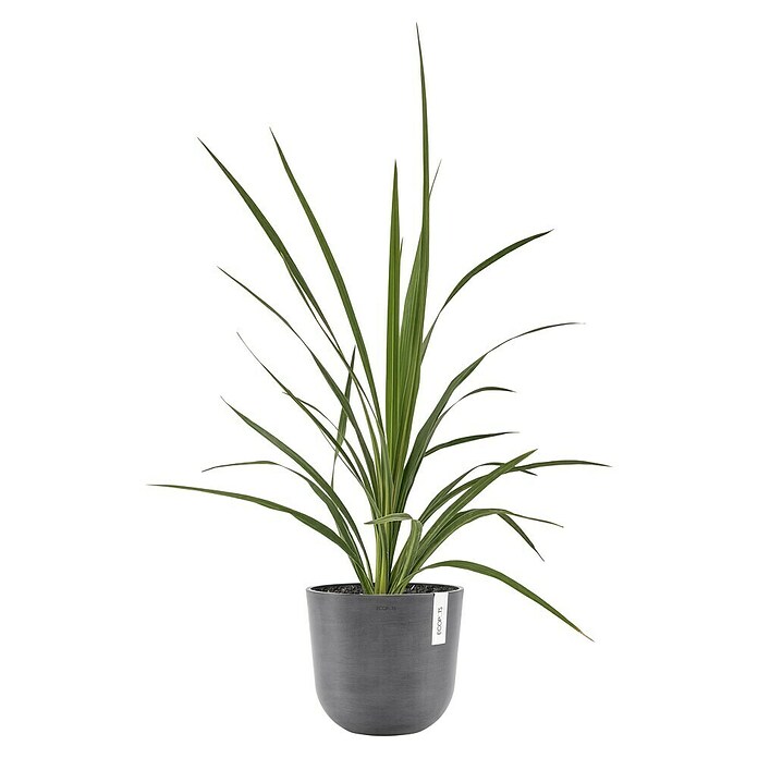 Ecopots Oslo Pflanztopf (Außenmaß (Ø x H): 25 x 21,8 cm, Kunststoff, Grau) | BAUHAUS