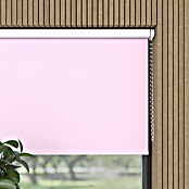 Verdunkelungsrollo (B x H: 90 x 275 cm, Rosa) | BAUHAUS