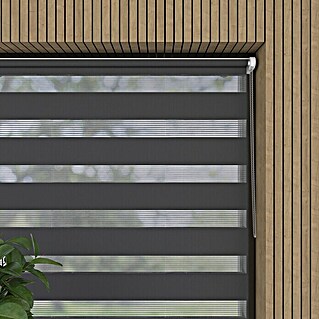 Expo Ambiente Dvojni rolo Mini (Š x V: 100 x 150 cm, Sive barve)