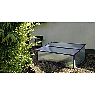 Vitavia Frühbeet Levana 1 Feige (55 x 95 x 28 cm, Farbe: Lila, Polycarbonat)