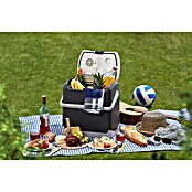 AEG Nevera de camping KK 20 (Capacidad volumétrica: 20 l, Gris) | BAUHAUS