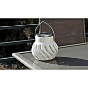 Farolillo antimosquitos solar Oriental (12 V) | BAUHAUS