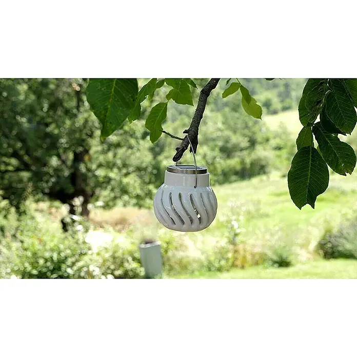 Farolillo antimosquitos solar Oriental - 12 V - Una linterna solar blanca con un patrón en espiral cuelga de una rama, iluminando los jardines de manera ecológica.