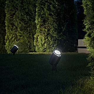 Steinel LED-Strahler Spot Garden SC anthrazit (7,9 W, 512 lm, 3.000 K, L x B x H: 14 x 6,9 x 36,9 cm, IP44)
