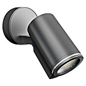 Steinel LED vanjski reflektor Spot One (7 W, Antracit, D x Š x V: 9,8 x 9,7 x 17,5 cm, IP44, Bez senzora)