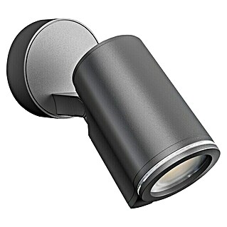 Steinel LED vanjski reflektor Spot One (6,7 W, D x Š x V: 9,8 x 9,7 x 17,5 cm, Antracit, IP44)