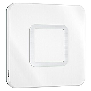 Steinel Plafón de techo y pared con sensor RS M1 S (8,8 W, L x An x Al: 20 x 20 x 5,3 cm, Blanco)
