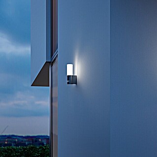 Steinel LED sensor buitenlamp L 605 S antraciet (11,3 W, l x b x h: 13,1 x 7,8 x 26 cm, Antraciet, Warm wit)