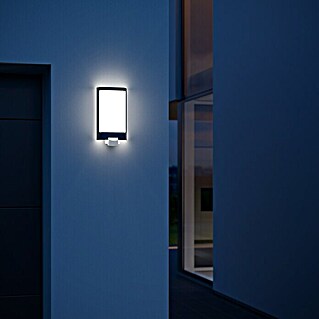 Steinel LED-Sensor-Außenwandleuchte L 240 S Edelstahl (9,3 W, L x B x H: 8,1 x 16,5 x 30,5 cm, Weiß/Edelstahl, Warmweiß)
