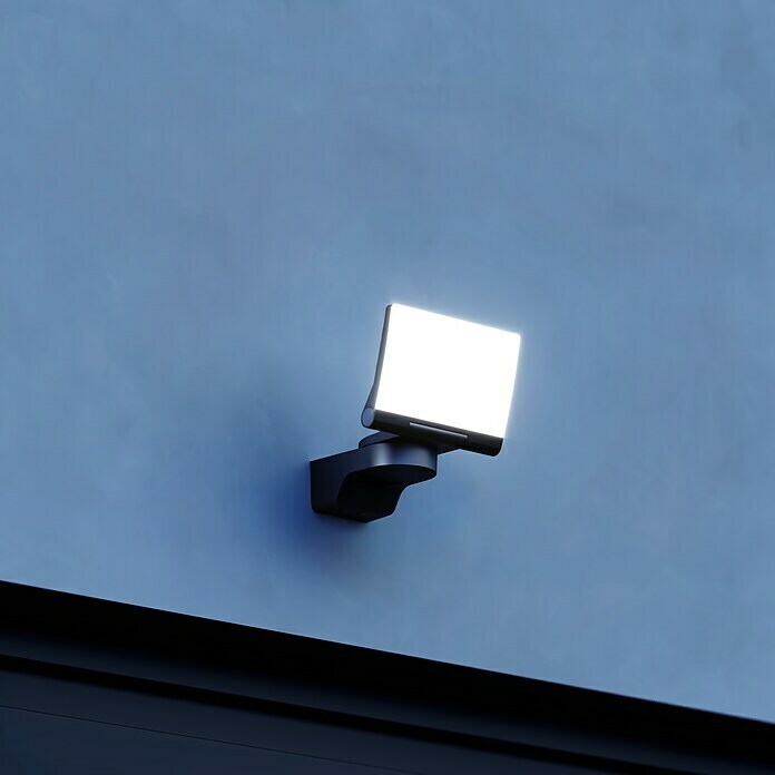 Steinel LED reflektor (Crna, 14,8 W, IP44)