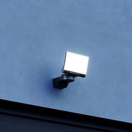 Steinel LED-Außenleuchte XLED home 2 schwarz (Farbe Gehäuse: Schwarz, IP44, 13,7 W)